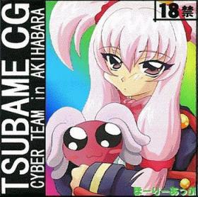 Fucking TSUBAME CG CYBER TEAM in AKIHABARA - Akihabara dennou gumi Teenie