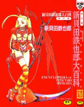 Encyclopedia of Tetsuyaro Shinkaida