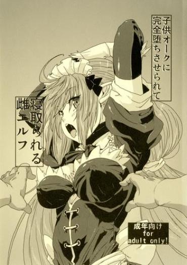 (COMITIA100) [Search-Light (Risei)] Kodomo Orc Ni Kanzen Ochisaserarete Netorareru Mesu Elf