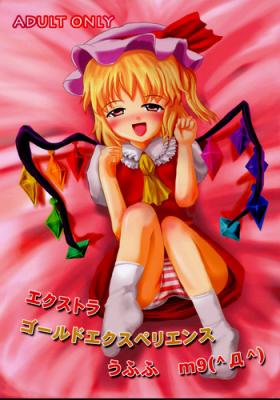 Eat Extra Gold Experience Ufufu m9 - Touhou project Sem Camisinha