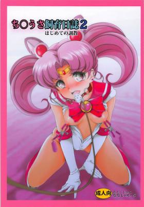 Desperate Chibiusa Shiiku Nisshi 2 - Sailor moon Tranny