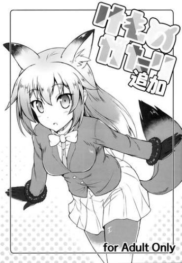 Casado Kemonogatari Tsuika – Kemono Friends Amateur Porn Free