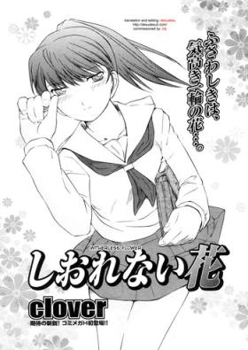 Tetona Shiorenai Hana | Witherless Flower Girlfriend