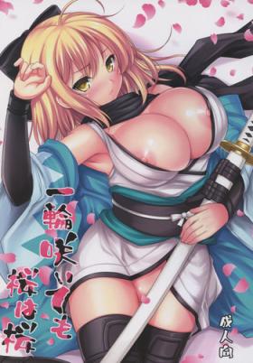 Slapping Ichirin Saite mo Sakura wa Sakura - Fate grand order Virgin