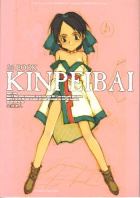 Compilation Kinpeibai 5 - Samurai spirits Culos