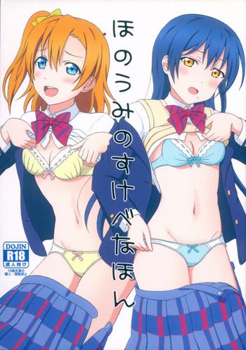 Bigboobs HonoUmi No Sukebe Na Hon - Love Live Gay College