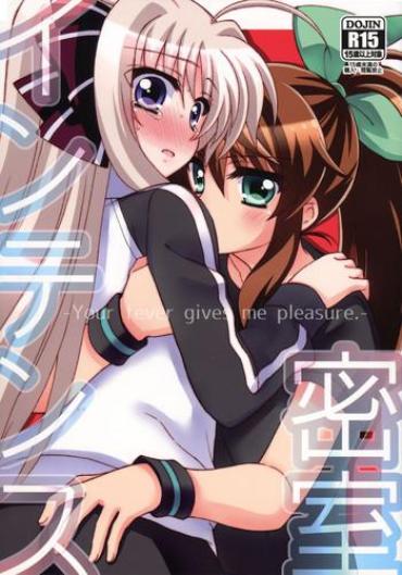 Bigdick Misshitsu Intense – Mahou Shoujo Lyrical Nanoha Jockstrap