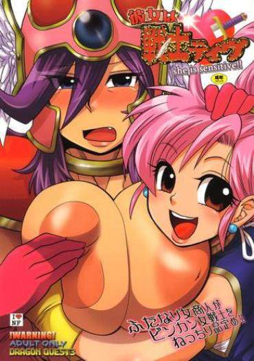 Gay Party (C72) [Esecool (Boss Chin)] Kanojo Wa Senshi-tive – She Is Sensitive!! (Dragon Quest III) – Dragon Quest Iii Furry