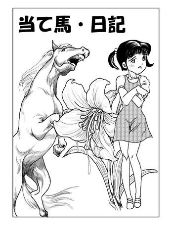 Romance The Stallions And The Girls