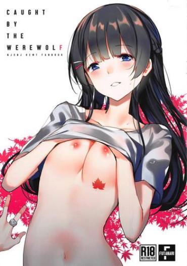 (C95) [virophilia (Orihi Chihiro)] Caught By The Werewolf (Tsukino Mito, Higuchi Kaede)