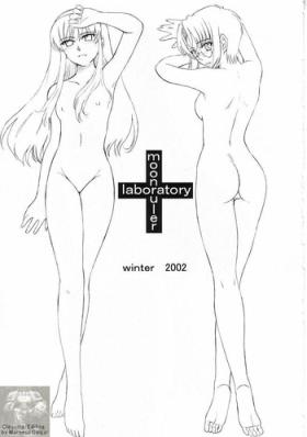 Pigtails Moon Ruler Laboratory 2002 winter - Tsukihime Alone