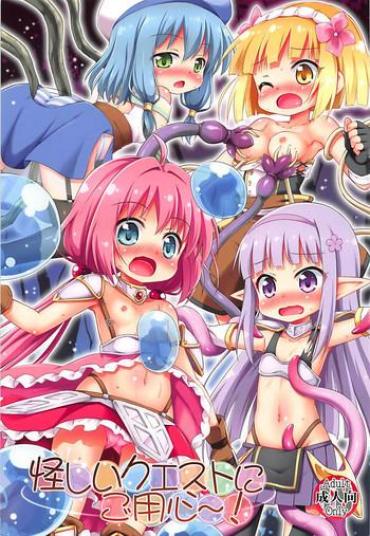 Newbie Ayashii Quest Ni Goyoujin! – Endro