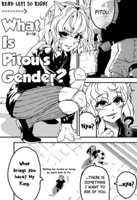 Bigtits 피트의 성별은? | What is Pitou's Gender? - Hunter x hunter Jocks