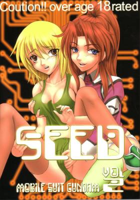 Gay Orgy SEED 2 - Gundam seed Sex Toys