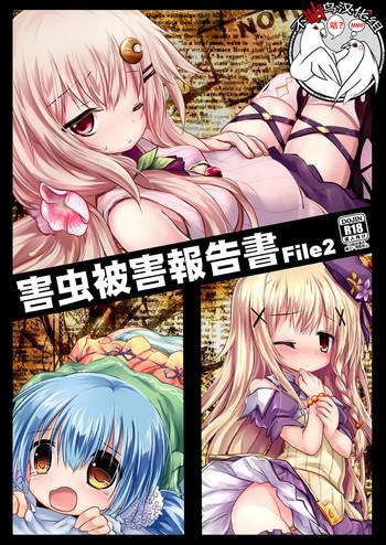 Bare Gaichuu Higai Houkokusho File 2 - Flower Knight Girl