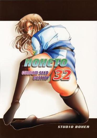 (C69) [Studio BOXER (Machumoto Nyao, Shima Takashi, Taka)] HOHETO 32 (Gundam SEED DESTINY)