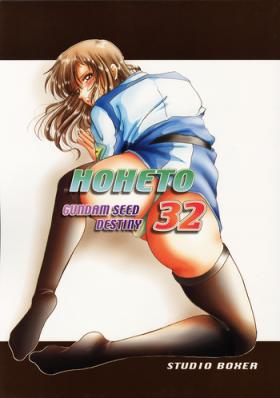 Porn HOHETO 32 - Gundam seed destiny Girlongirl