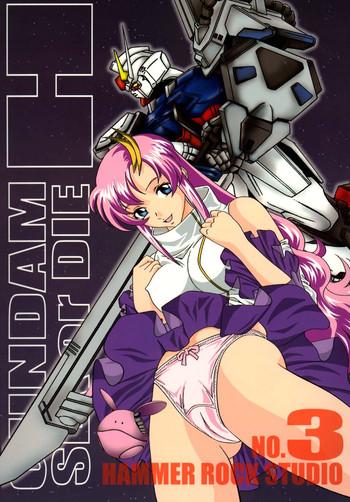 Hoe Gundam-H 3 - Gundam Seed