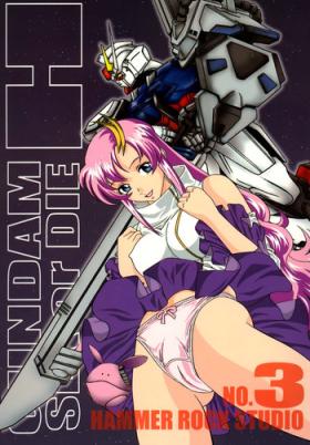 Solo Female Gundam-H 3 - Gundam seed Amador