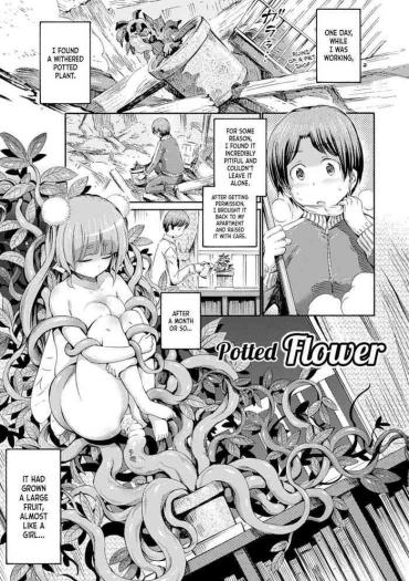 Cheat Hachi No Ue No Flower | Potted Flower