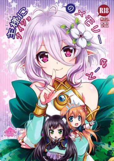 Curious Aruji-sama Ni Naisho No Memory Piece – Princess Connect