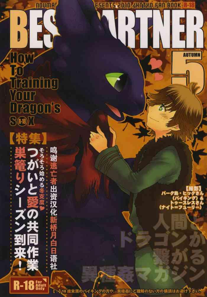 (Fur-st 2) [Kon'na Tokoro No Kin'niku Made Kitaeru Nante... (Sugoi Kin'niku)] BEST PARTNER5 (How To Train Your Dragon) [Chinese] [逃亡者x新桥月白日语社汉化]