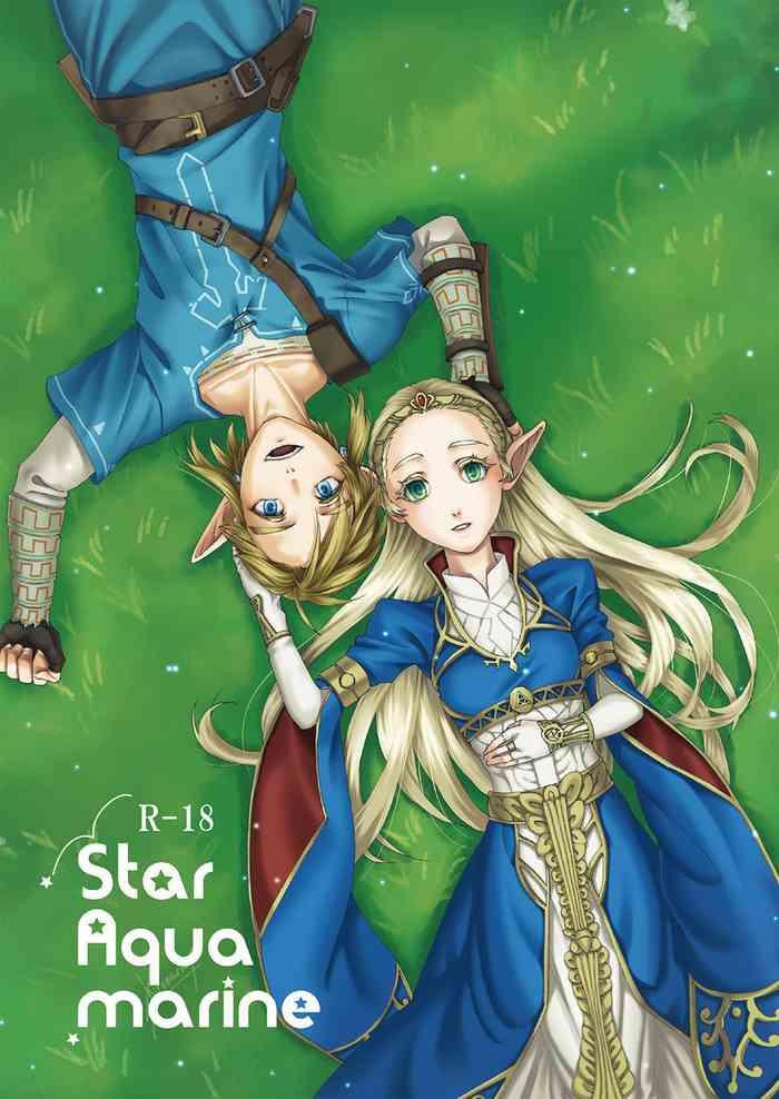 [MYLAB (Shiroa Urang)] Star Aquamarine (The Legend Of Zelda) [English] [Digital]
