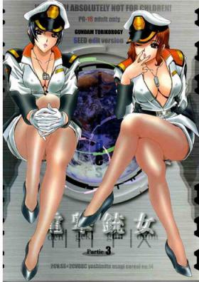 Putaria Torikorogy 3 - Gundam seed Oral Porn