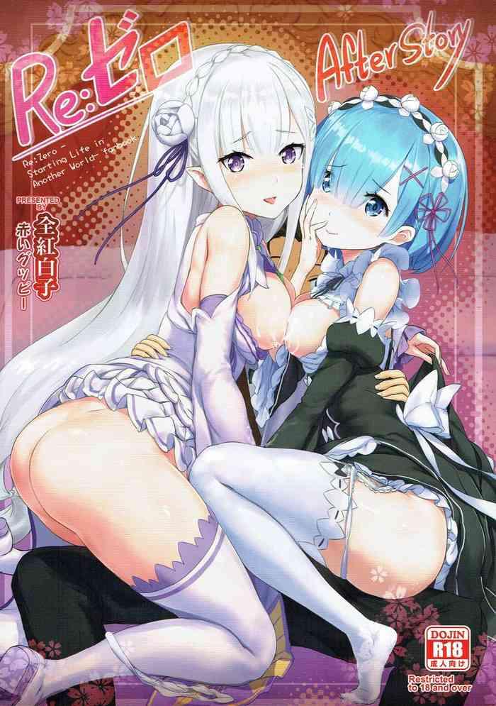 RE:Zero After Story