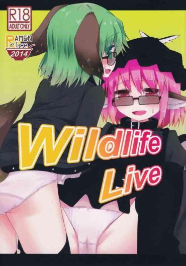 Stretch Wildlife Live – Touhou Project Anal Sex