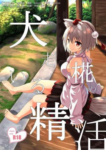 Storyline Inubashiri Momiji No Iru Seikatsu – Touhou Project