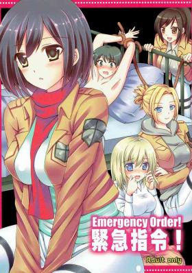 Boss Kinkyuu Shirei! | Emergency Order! - Shingeki no kyojin Bangbros