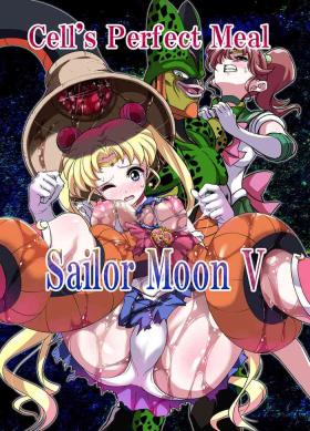 Cock Sailor Moon V - Sailor moon | bishoujo senshi sailor moon Cunnilingus