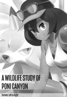 Hairypussy A Wildlife Study of Poni Canyon - Pokemon | pocket monsters Big Cock