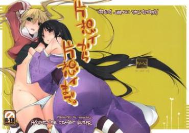 Adolescente Kataomoi Kara Kataomoi Made. – Hayate No Gotoku Gay Longhair