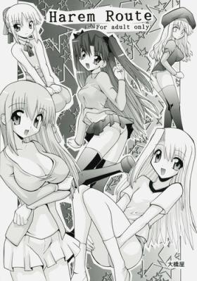 Girl On Girl Harem Route - Fate stay night Natural
