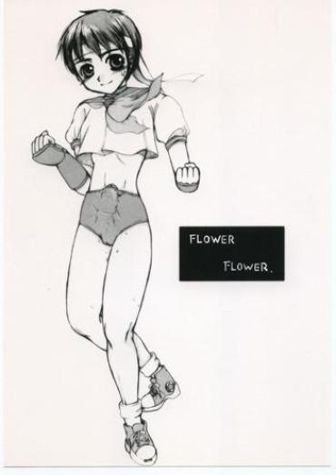 Stepdad FLOWER FLOWER. – Street Fighter Darkstalkers Art