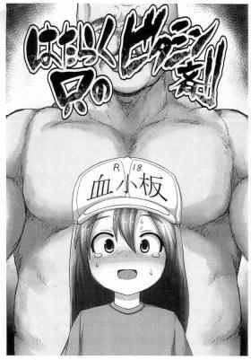 Anime Hataraku Tada no Vitamin-zai - Hataraku saibou | cells at work Cheating Wife
