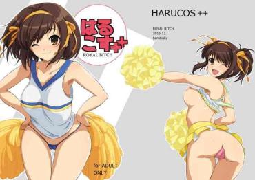 (C89) [Royal Bitch (haruhisky)] HARUCOS++ (Suzumiya Haruhi No Yuuutsu) [Decensored]