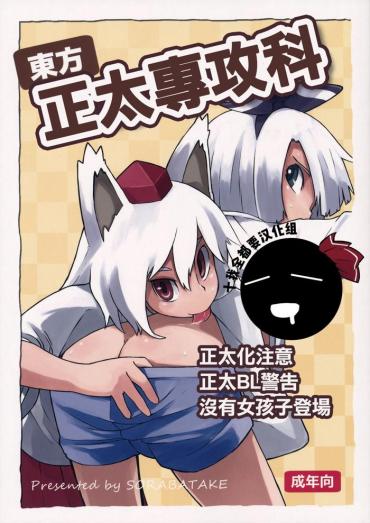 (C87) [Sorabatake (D@i)] Touhou Shota Senkouka | 東方正太專攻科 (Touhou Project) [Chinese] [十的我全都要汉化组]