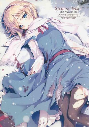 Gay Public (C81) [Gekidoku Shoujo (ke-ta, Hyuuga, Touma Nadare)] SLEEPING MAGE -Mahou No Mori No Nemurihime- Gekidoku Shoujo Publication Number VII (Touhou Project) – Touhou Project Gay Domination