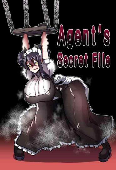 Foursome Agent's Secret File – Girls Frontline