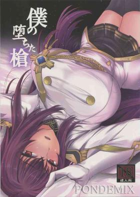 Sexteen Boku no Ochita Yari | My Fallen Spear - Fate grand order Tall