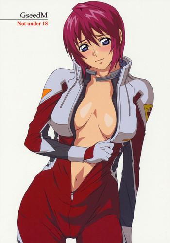 (C68) [M (Amano Ameno)] GseedM (Gundam SEED DESTINY)