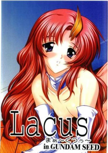 Gayporn Lacus Mark Two / Lacus Ma Kutou – Gundam Seed Sex Party