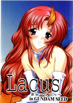 Ladyboy Lacus Mark Two / Lacus ma Kutou - Gundam seed Nylon