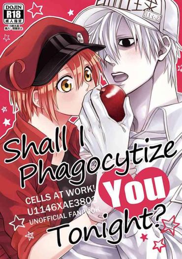 [Honey Syrup (Misuki)] Shall I Phagocytize You Tonight?! (Cells At Work) [Chinese] [Digital]