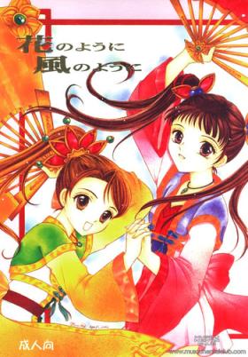 Retro Hana no You ni Kaze no You ni | Flower in the Wind - Dynasty warriors Music