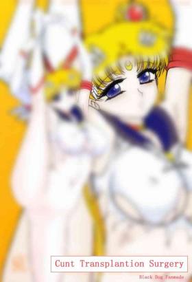 Little Cunt Transplantion Surgery - Sailor moon | bishoujo senshi sailor moon Big Dick