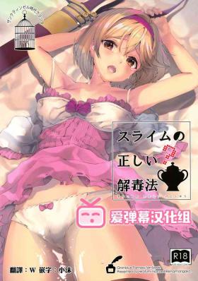 Public Sex Slime no Tadashii Gedokuhou - Granblue fantasy Bribe